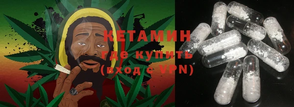 ПСИЛОЦИБИНОВЫЕ ГРИБЫ Вязники