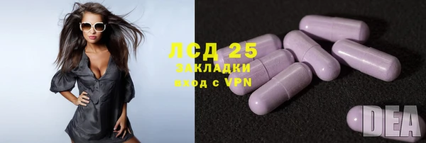 сатива Вязьма