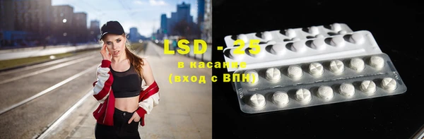 ПСИЛОЦИБИНОВЫЕ ГРИБЫ Вязники