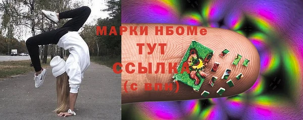 ПСИЛОЦИБИНОВЫЕ ГРИБЫ Вязники