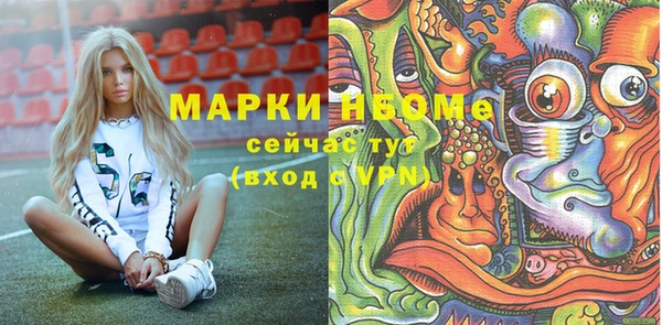 сатива Вязьма
