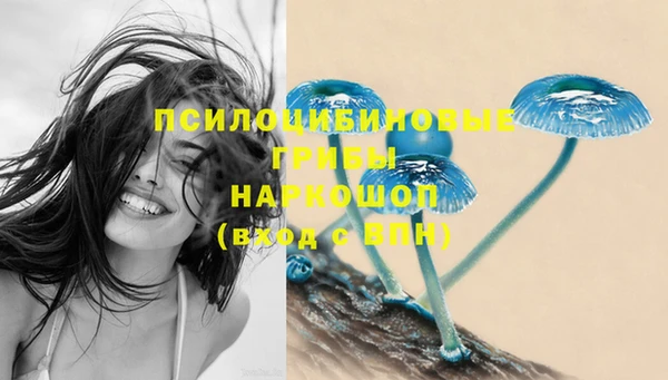 сатива Вязьма