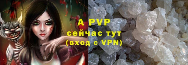 ПСИЛОЦИБИНОВЫЕ ГРИБЫ Вязники