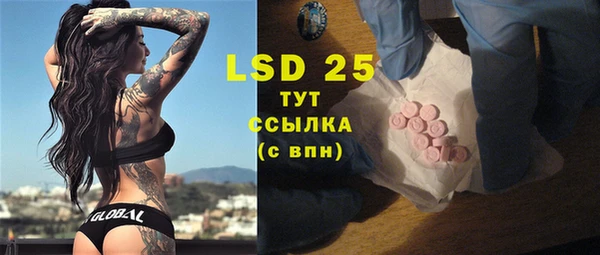 сатива Вязьма