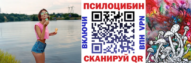 Купить  Красноармейск  Псилоцибиновые грибы мицелий 